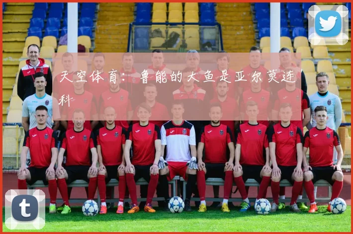天空体育：鲁能的大鱼是亚尔莫连科