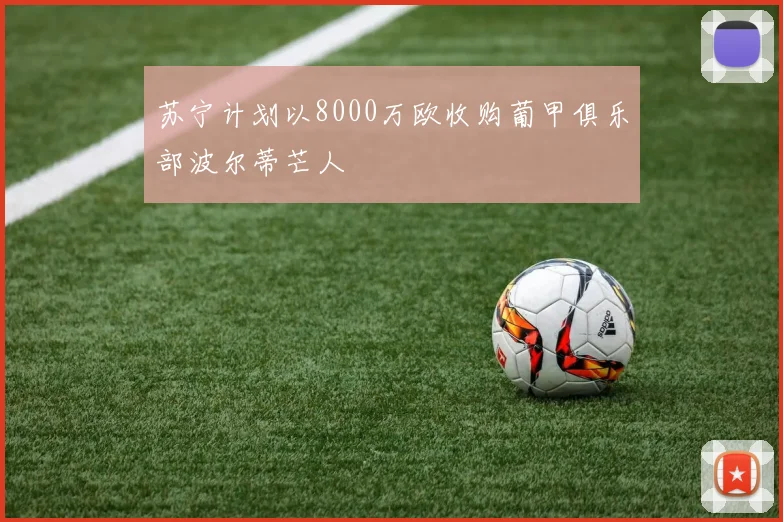 苏宁计划以8000万欧收购葡甲俱乐部波尔蒂芒人
